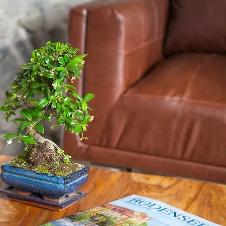 Residenz Cheval - Bond Mit Sauna - Friedrichshafen - Bodensee Oberteuringen